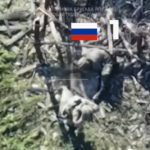 Коли ротація ворога зривається, а БК не доїжджає — це працюють українські «соколи»