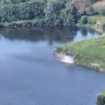 Від мінування до коригування вогню: дрони ССО нищать ворога у прикордонні