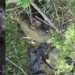 Коли замість підмоги прилітає смерть: українські FPV-дрони полюють на вцілілих окупантів
