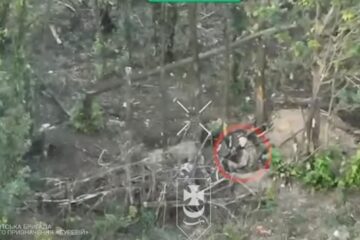 Думали, що гілки врятують: українські дрони знищують ілюзії окупантів про безпечну «зеленку»