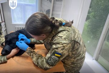 Вступна кампанія-2025: як стати військовим ветеринаром у НУБіП