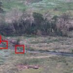 «Don’t push the horses» — Сили оборони відповіли на заяви рф про нібито вихід на кордони Дніпропетровщини