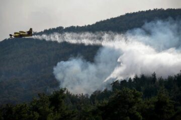 Грецькі пожежники борються з лісовою пожежею на острові Крит