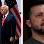 Зеленський і Трамп провели розмову