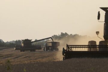 Спротив: окупанти відбирають зерно в аграріїв на ТОТ України