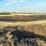 Російська авіабомба знищила 60 га пшеничного поля на Харківщині