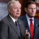Сенатор Грем анонсував “кувалду” санкції проти Росії та “рекордний потік зброї” для України