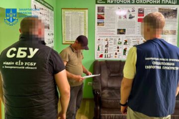 На Закарпатті викрито майстра лісу, який допустив незаконну вирубку дубів на 5,2 мільйона гривень
