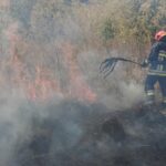 На Одещині сталася масштабна пожежа сухостою