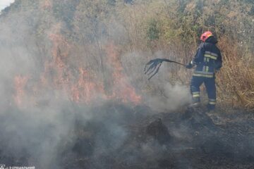 На Одещині сталася масштабна пожежа сухостою