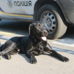 У Києві через підозрілий предмет закрили станцію метро “Либідська”, – КМДА