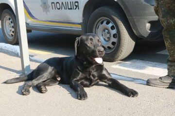 У Києві через підозрілий предмет закрили станцію метро “Либідська”, – КМДА