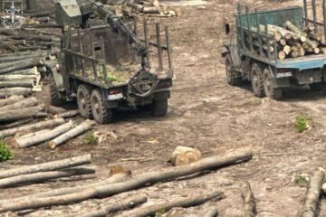 Низку працівників “Ліси України” підозрюють у масштабній схемі розкрадань деревини
