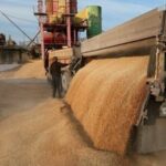 Розвідка: близьке оточення Путіна захоплює російський зерновий бізнес