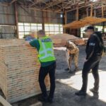 На Житомирщині посадовців лісової галузі підозрюють у завданні майже 23 млн грн збитків державі