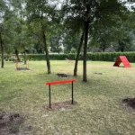 У парку «Наталка» відкрили майданчик для вигулу собак