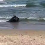 Військові моряки знищили морську міну на узбережжі Одещини