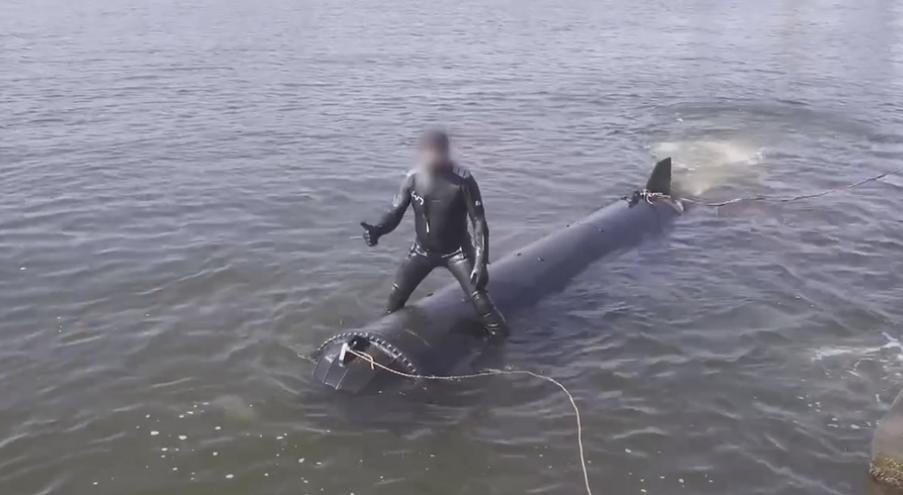 Український підводний безпілотник «Марічка». Фото: скриншот з відео