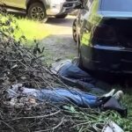 Вбивство полковника СБУ у Києві: кілерами виявилися іноземці, які працювали на ворожу спецслужбу
