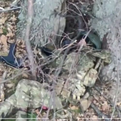 Палиця проти FPV-дрона: чим закінчилась «дуель» для російського піхотинця