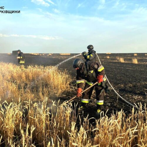Ворог знищує хлібні поля на Харківщині