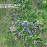 Підлетів і впав — сітка здолала російський дрон