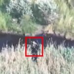 Поліз у воду і згорів — наші бійці знищили «штурмовиків-одинаків» на Покровському напрямку