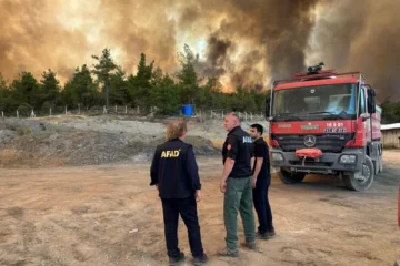 Туреччину охопили масштабні лісові пожежі: евакуювали понад 1700 людей
