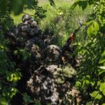Покровський та Новопавлівський — у Генштабі ЗСУ назвали найгарячіші напрямки фронту