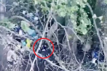 Жадібний окупант хотів затрофеїти український FPV, однак трохи прорахувався