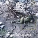 «Два-три гуманоїди намагаються закинути міну» — у Вовчанську росіян ганяють норами, як ховрахів