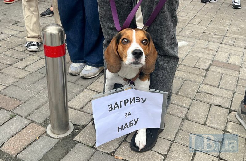 Акція під ВРУ напередодні голосування по законопроєкту №13533, який зареєстрував президент щодо повернення незалежності антикорупційних органів.