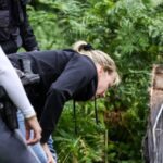 У Німеччині знову підпалили ключову залізичну колію країни