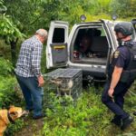 Рятувальники евакуювали літнього чоловіка та його домашніх улюбленців з прифронтового Куп’янська