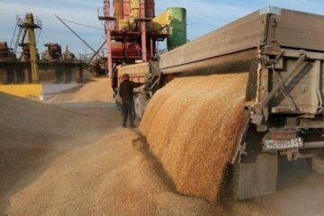 Український агроекспорт за півроку склав понад $11 мільярдів