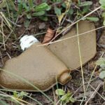 З початку повномасштабного вторгнення від російських мін постраждали 1 265 українців