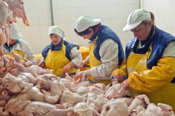 Україна заборонила ввезення птиці та продуктів зі США через спалах пташиного грипу