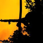 Генштаб: кожне четверте боєзіткнення з початку доби відбувалось на Покровському напрямку