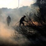 Лісові пожежі у Європі: у Греції загинуло три людини, протоку Дарданелла перекрили