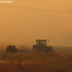 В Андріївському лісовому урочищі на Миколаївщині вдалося локалізувати пожежу на площі 40 гектарів