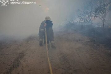 Рятувальники далі чергують після пожежі в Андріївському лісовому урочищі