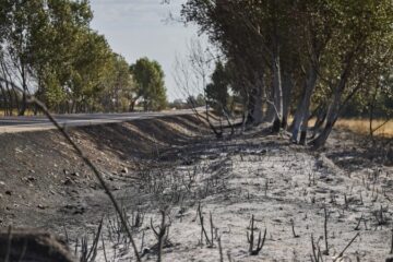 Біля Мадриду чоловік загинув у лісовій пожежі