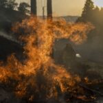 ЄС надішле Іспанії допомогу в боротьбі з лісовими пожежами, кількість жертв зросла