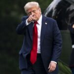 Axios: Трамп повідомив Зеленського та європейських лідерів, що хоче провести тристоронній саміт 22 серпня