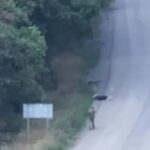 ОГП: на Покровському напрямку російський військовий розстріляв цивільного