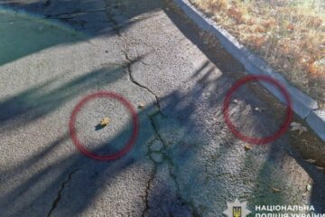 Поліцейські знищили міни-”пелюстки”, розкидані росіянами у Херсоні