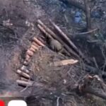 «Фенікс» підрізає логістику противника на Краматорському напрямку
