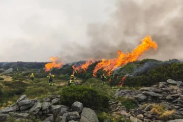 У ЄС вирують найбільші пожежі за всю історію спостережень