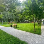 З пішохідними доріжками та освітленням: почався капітальний ремонт скверу на вулиці Шептицького