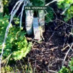 «Фенікс» проти «Піроєда»: прикордонники рознесли РЕБ, склад БК і живу силу ворога